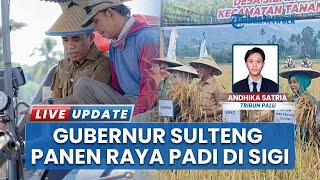 Panen Raya Perdana Padi di Desa Sibalaya Utara, Jadi Sejarah Pasca Perbaikan Irigasi Gempa 2018