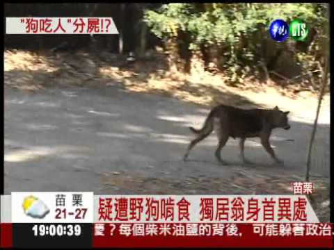 疑遭野狗啃食 獨居翁被分屍