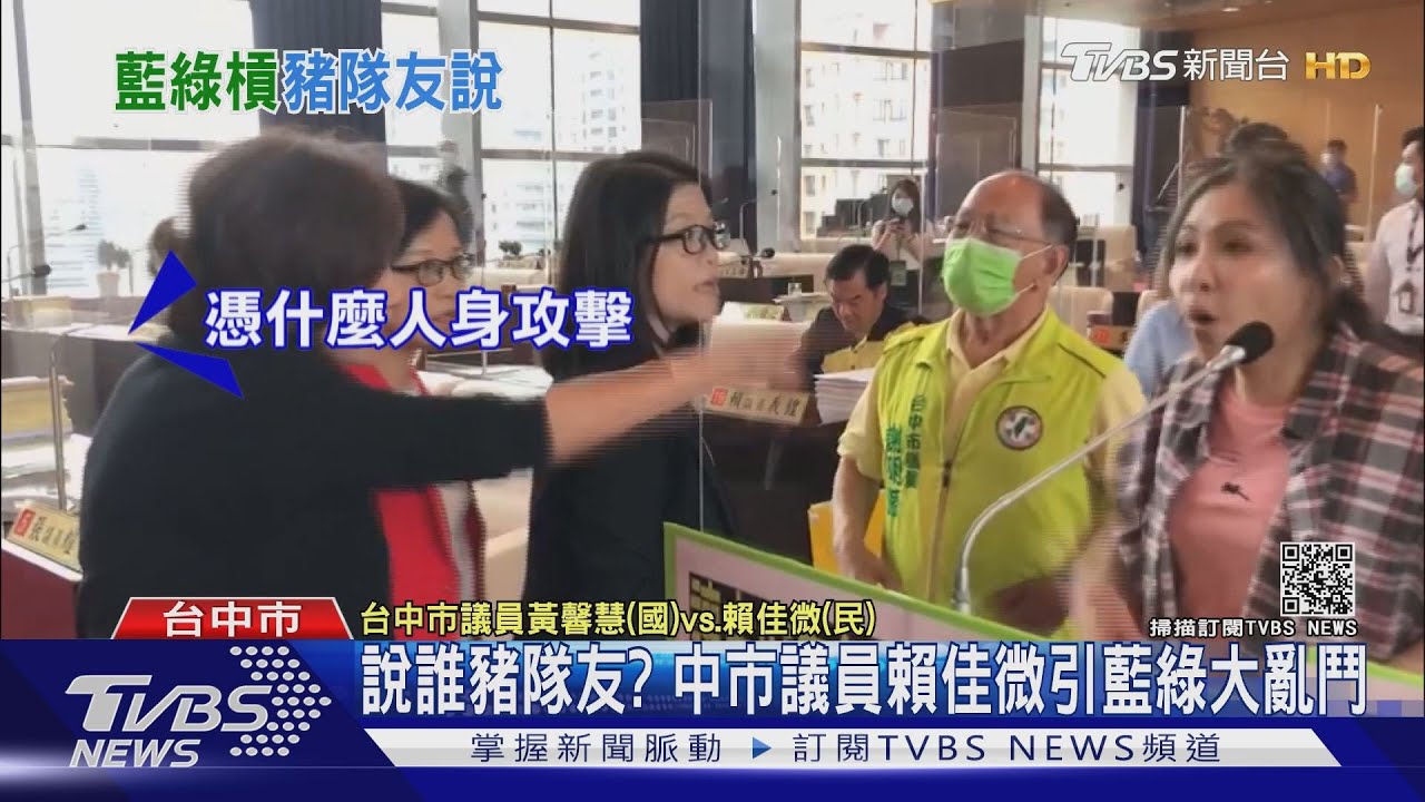 說誰豬隊友? 中市議員賴佳微引藍綠大亂鬥