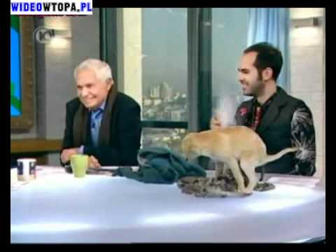 Rurku, kto posprząta ten upier... stół?