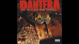 Pantera - Living Through Me (Hell&#39;s Wrath) (C# tuning)