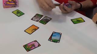 Schummel Hummel (Schmidt Spiele / Drei Magier) / Essen 2017