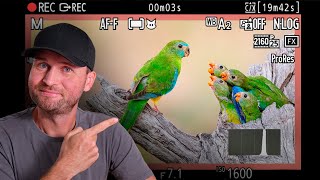 The VIDEO Settings & Techniques You NEED TO KNOW!