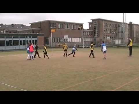 DIE HAGHE D3 - DE MEERVOGELS D3