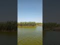 channel