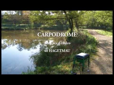 comment trouver un stage bpjeps