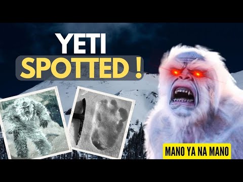 Scientists Finally Have Shown Who The Yeti Is | आखिर पता चल ही गया कौन है असली Yeti?