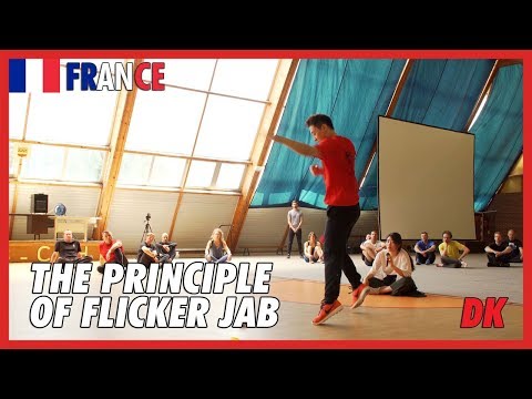 The principle of Flicker jab - DK Yoo