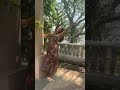 ACTRESS INEYA S LATEST HOT DANCE