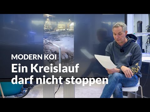 Cycling the pump in winter: can that work? | Modern Koi Blog #7908