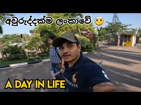 අවුරුද්දක්ම ලංකාවේ |????  A day in life vlog  #thesailor #dayinthelife