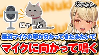 (2)(00:03:38 - 00:05:40) - 最近マイクを理解してきてアピールしてくるきゅーちゃんの飼い猫おちびさん(w/デューク、バーチャルゴリラ、兎咲ミミ、如月れん)【ぶいすぽっ!神成きゅぴ切り抜き】