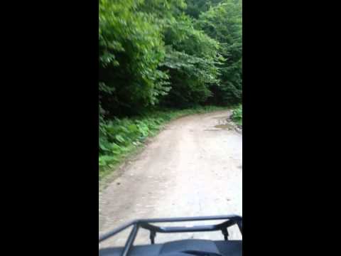 Catre Vida, Lunca Sprie