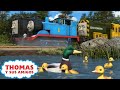 Diesel Y Los Patitos Thomas Y Sus Amigos Mejores Momentos Caricaturas Dibujos Animados