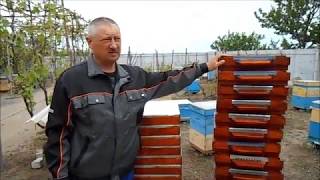 Ссылка