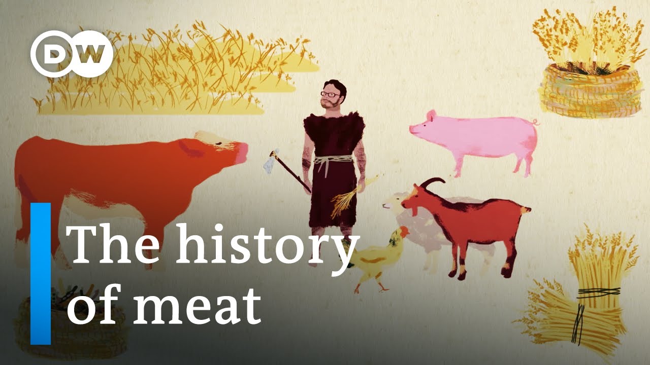 The 17 Best documentaries about the Meat Industry