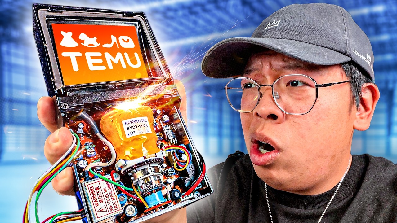 uhhhhh... WTF did TEMU sell me?