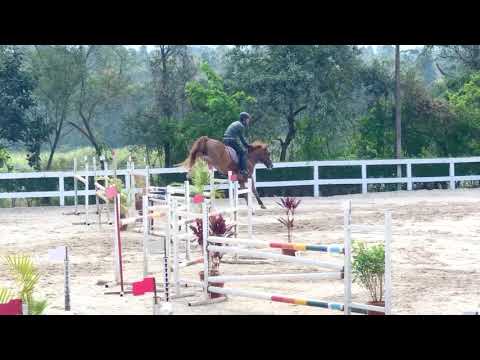 RENATO JUNQUEIRA E DUELANTE DEJET 1,15m