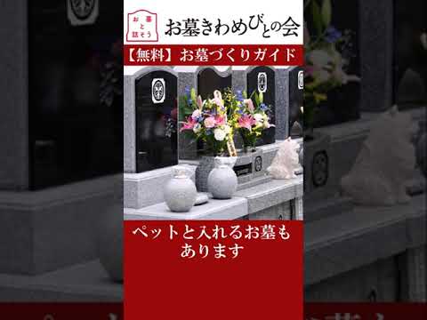 耐寒性のある墓の植栽:ヒントとアイデア トピックス