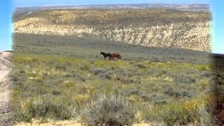 preview picture of video 'Wild Horse Canyon - Green River, Wyoming'