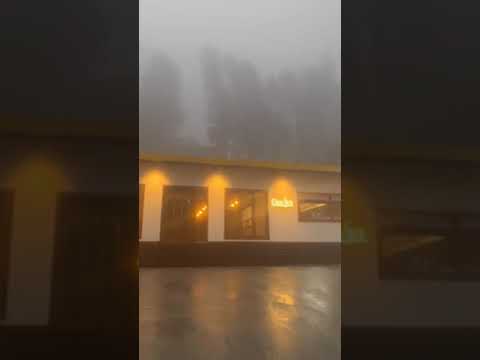 chocolate factory #chocolatelover #chocolate #factory#yummychocolate #makingchocolate #tasty😋😋😍🥰♥️