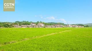 Agricultor-diputado de la provincia de Guangdong, plantea preocupaciones a nivel nacional