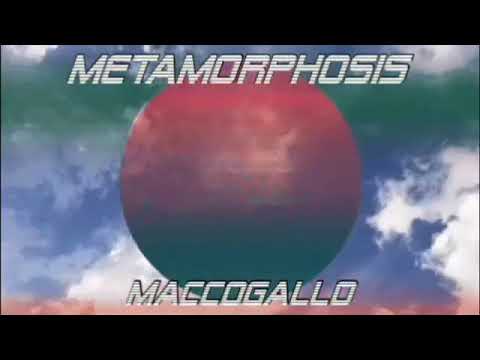metamorphosis // MACCOGALLO