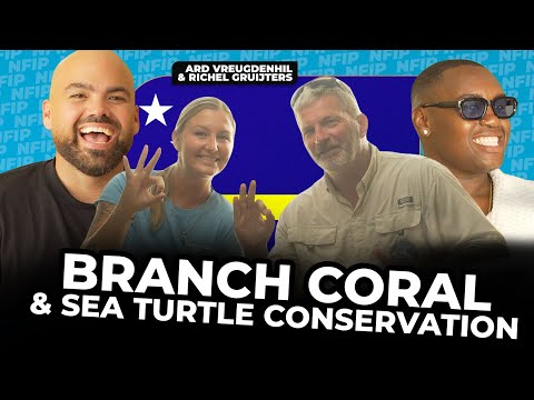 How Responsible Tourism Can Protect Coral Reefs and Sea Turtles | EP 214