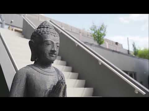 Zalig genieten in Saunatopia