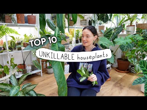 These Plants Refuse To Die 🌿 10 UNKILLABLE Houseplants