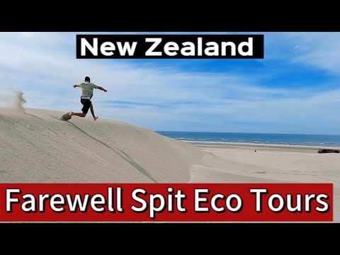 Farewell Spit Eco Tours Collingwood New Zealand
