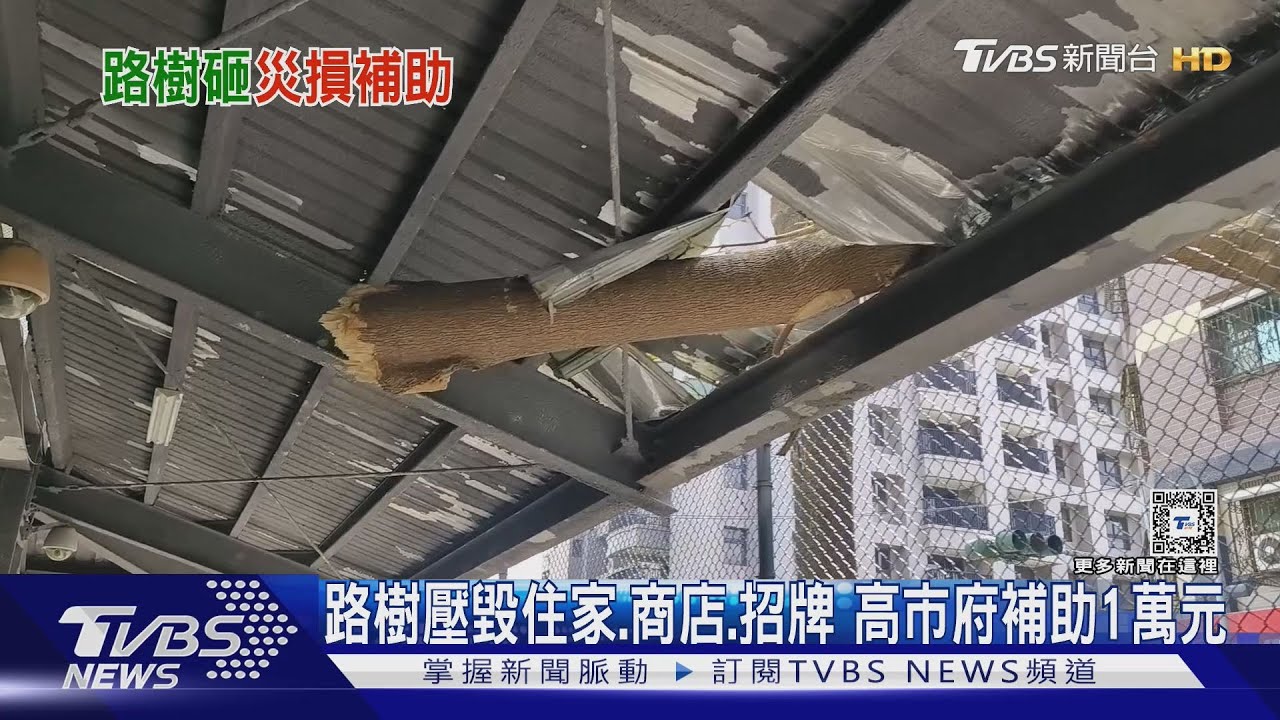 發錢了！高雄市轄路樹壓毀建物　補助1萬元
