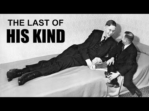 History's Last Giant | Tales From the Bottle