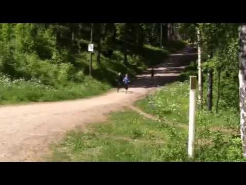 Pelicans C1 Teräsmieskilpailu 2015