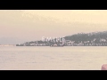 The Mispers - Emilie 