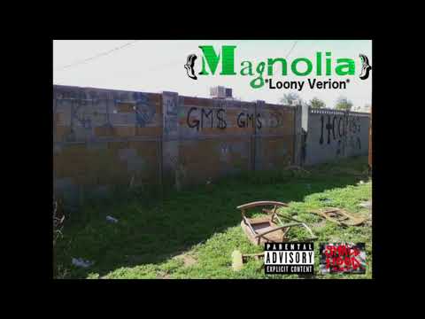 Loony the toon  "Magnolia Freestyle" [ Playboi carti remix ] [Loony version]