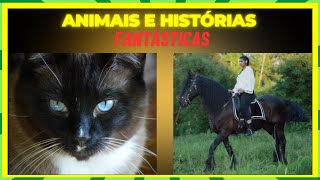 Animais e Histórias Fantásticas
