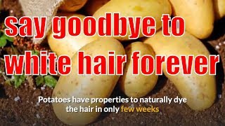 say goodbye to white hair forever use this natural remedy on your hair for 5 minutes and witness the