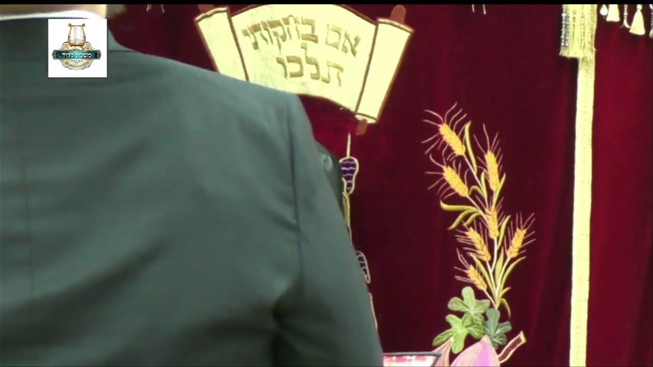 הרה"ג דוד איתמר ביטון שליט"א - טו"ר בית יוסף סימן שז'
