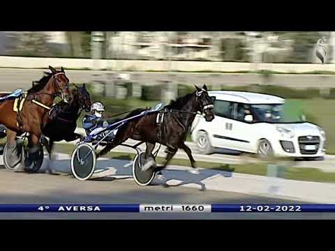 Aversa trotto 12 Febbraio 2022 - 4° Corsa