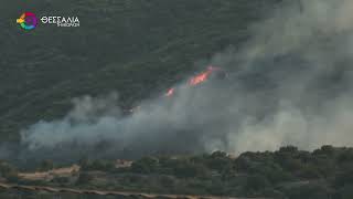 ΑΝΘΡΩΠΟΚΥΝΗΓΗΤΟ ΓΙΑ ΤΟΝ ΕΜΠΡΗΣΤΗ ΣΤΟΝ ΒΟΛΟ - ΚΑΗΚΑΝ 45 ΣΤΡΕΜΜΑΤΑ 20 08 2026 ΑΝΘΡΩΠΟΚΥΝΗΓΗΤΟ ΓΙΑ ΤΟΝ ΕΜΠΡΗΣΤΗ ΣΤΟΝ ΒΟΛΟ - ΚΑΗΚΑΝ 45 ΣΤΡΕΜΜΑΤΑ 20 08 2026