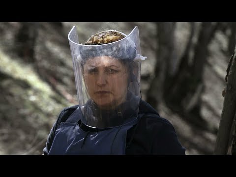 Nothing to be Afraid of