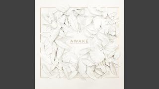 Awake My Soul