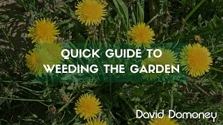 Quick Guide To Weeding The Garden