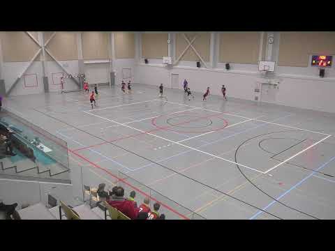 P17 Futsal-Liiga Pato - HoDy YJ