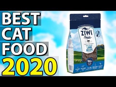 ✅ TOP 5: Best Cat Food 2020