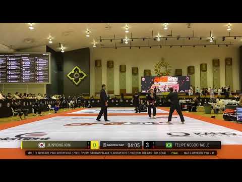 Male Gi Absolute Pro Lightweight -76KG Purple Brown Black Finals Junyong Kim vs Felipe Negochadle
