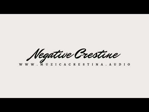 Puiu Chibici - Partasie Negativ (www.muzicacrestina.audio)