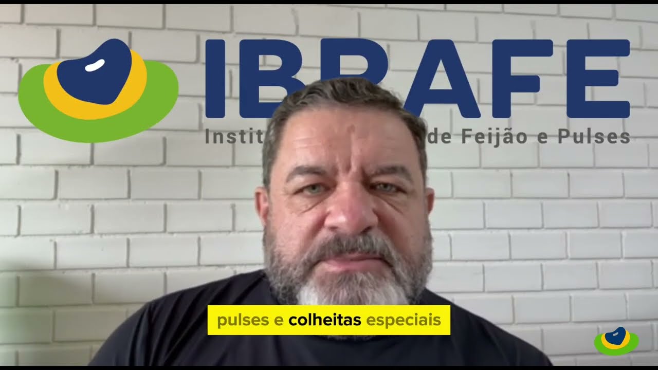 IBRAFE - Comentário | Mercado de Feijão SEMANA 27 MAI 2024