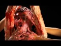 Black Lips - Family Tree (OFFICIAL MUSIC VIDEO ...